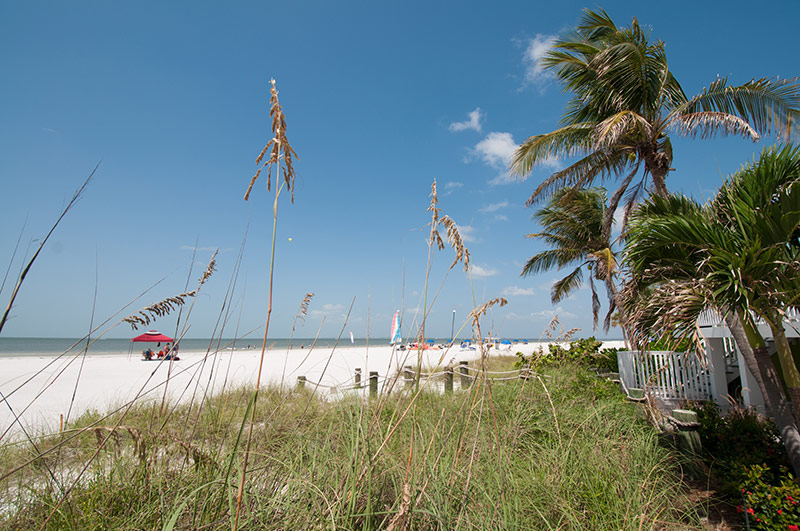 beach